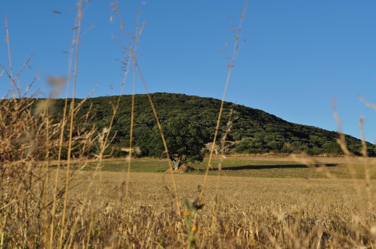 La Cabala De Ibeas Bed and Breakfast Ibeas de Juarros Εξωτερικό φωτογραφία